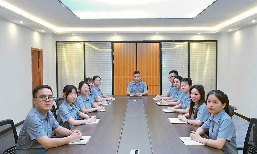 YSLEDs Professional LED Lighting Solutions Team Meeting - Factory Sales & R&D Staff