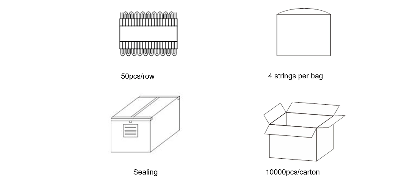 2LEDs Addressable RGB LED Module packaging & shipping info
