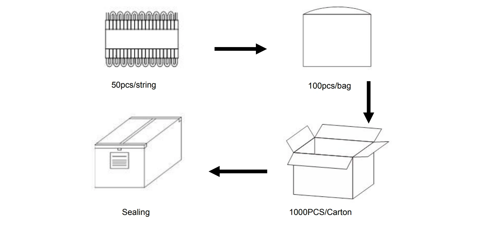 IP68 RGB LED Module Packaging & Carton Dimensions