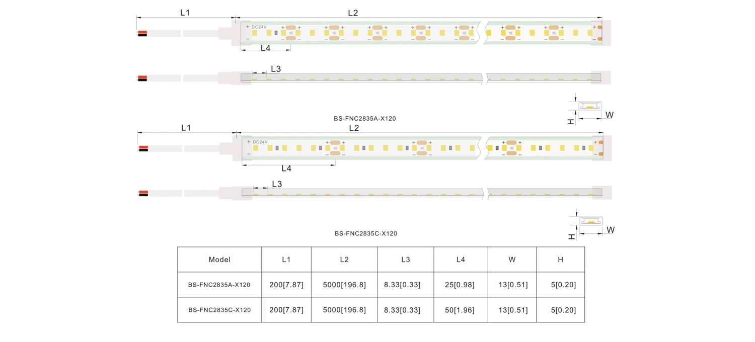 12V/24V silicone neon LED strip dimensions, profile size and cutting intervals for BS-FNC2835A-X120 and BS-FNC2835C-X120 models